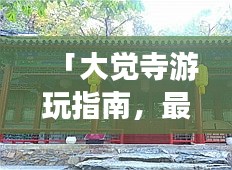 「大觉寺游玩指南，最新旅游攻略大全」