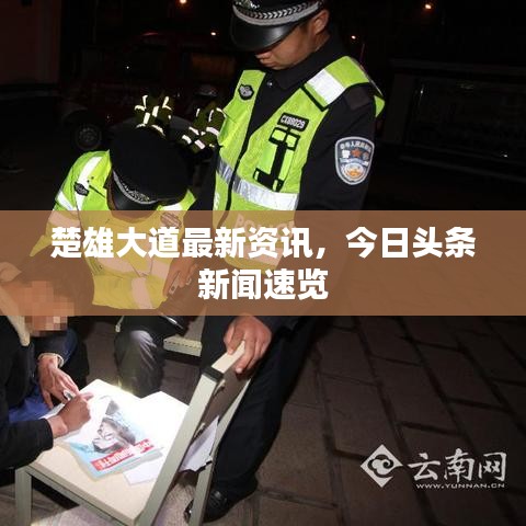 楚雄大道最新资讯，今日头条新闻速览