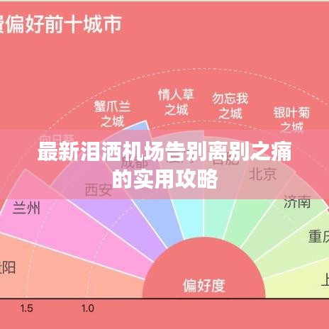 最新泪洒机场告别离别之痛的实用攻略
