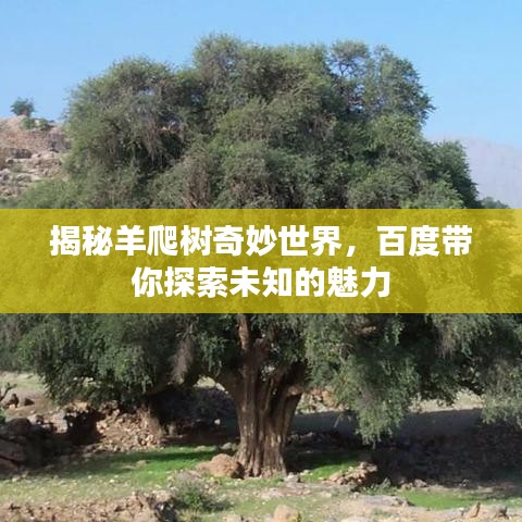 揭秘羊爬树奇妙世界，百度带你探索未知的魅力