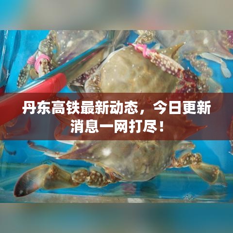丹东高铁最新动态，今日更新消息一网打尽！