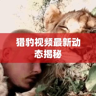 猎豹视频最新动态揭秘