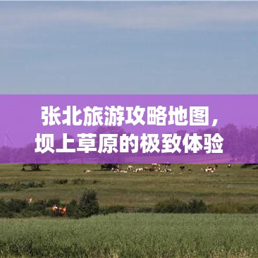 张北旅游攻略地图，坝上草原的极致体验探索