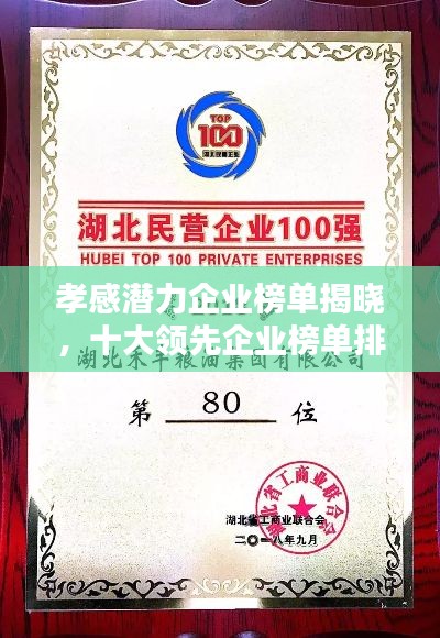 孝感潜力企业榜单揭晓，十大领先企业榜单排名揭晓！