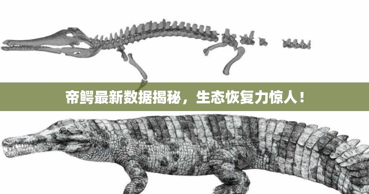 帝鳄最新数据揭秘，生态恢复力惊人！