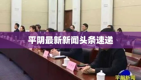 平阴最新新闻头条速递