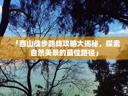 无独有偶 第2页