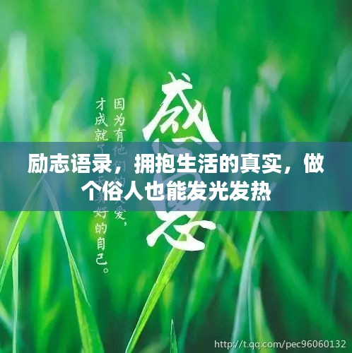 励志语录，拥抱生活的真实，做个俗人也能发光发热