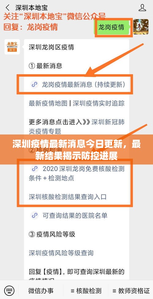 深圳疫情最新消息今日更新，最新结果揭示防控进展