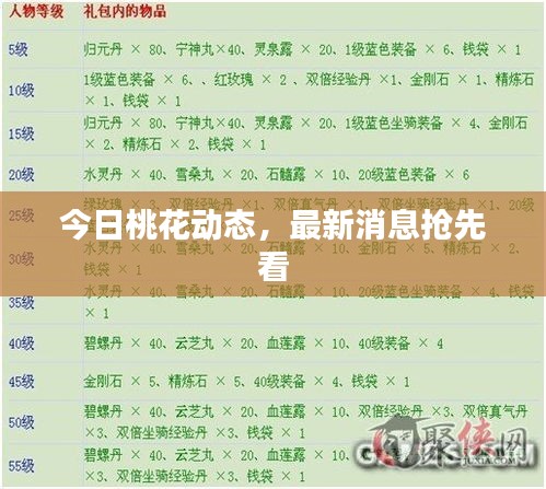 今日桃花动态，最新消息抢先看