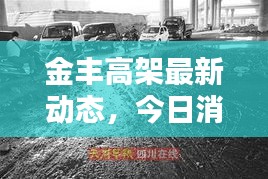 金丰高架最新动态，今日消息一网打尽！