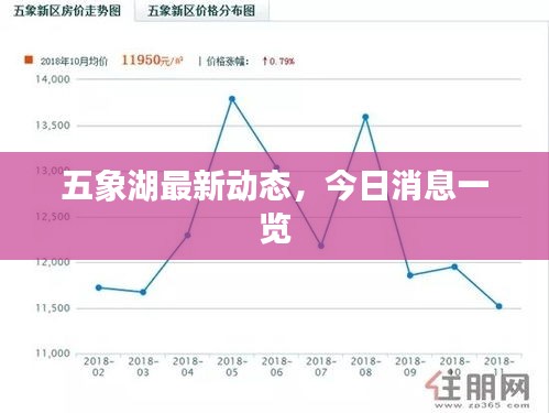 五象湖最新动态，今日消息一览