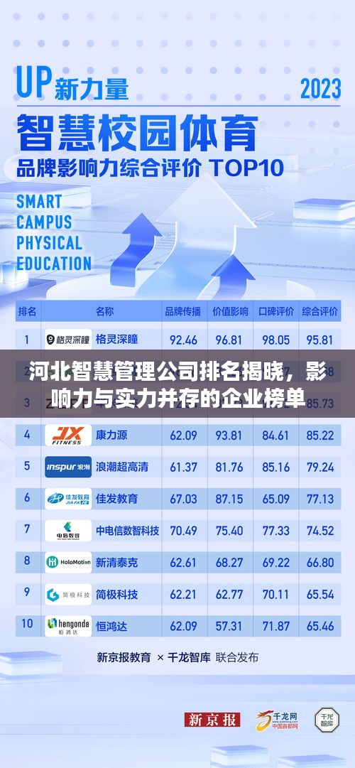河北智慧管理公司排名揭晓，影响力与实力并存的企业榜单
