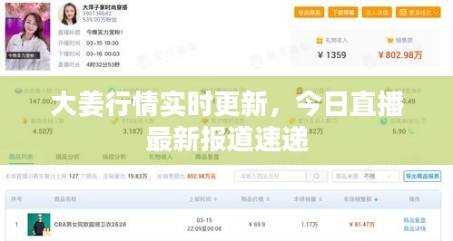 大姜行情实时更新，今日直播最新报道速递