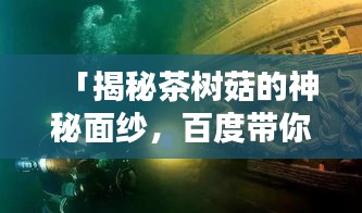 「揭秘茶树菇的神秘面纱，百度带你探索其奥秘！」