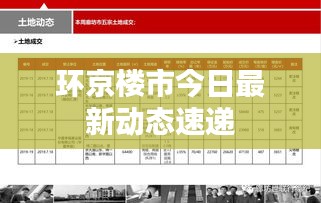 环京楼市今日最新动态速递