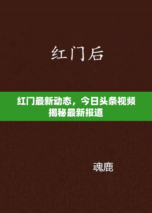 红门最新动态，今日头条视频揭秘最新报道