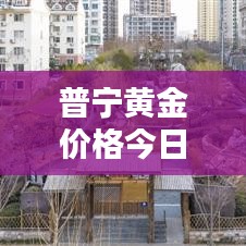 普宁黄金价格今日走势，最新行情报道