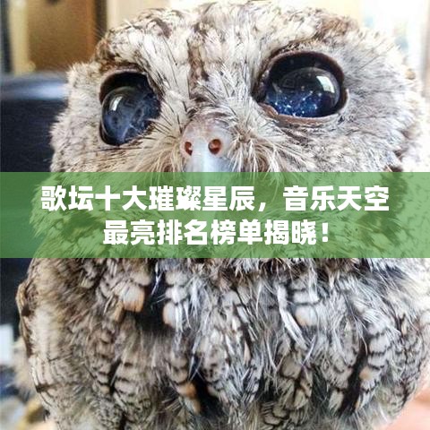 歌坛十大璀璨星辰，音乐天空最亮排名榜单揭晓！