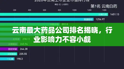 云南最大药品公司排名揭晓，行业影响力不容小觑