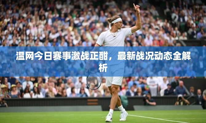 温网今日赛事激战正酣，最新战况动态全解析