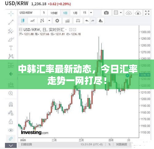 中韩汇率最新动态，今日汇率走势一网打尽！