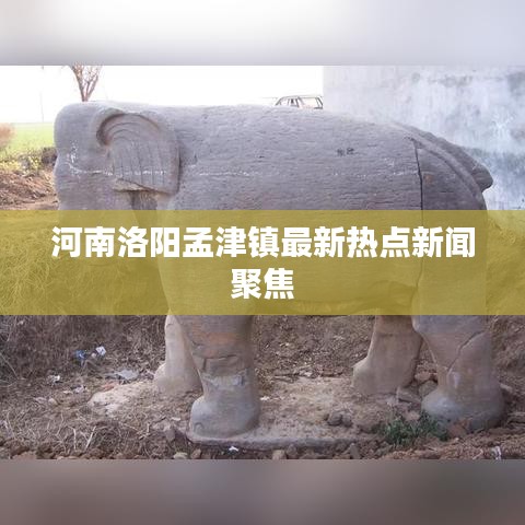 河南洛阳孟津镇最新热点新闻聚焦