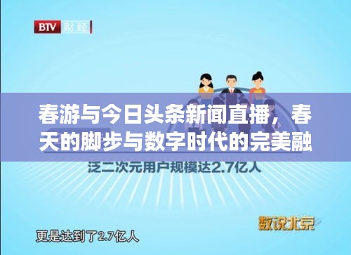 春游与今日头条新闻直播，春天的脚步与数字时代的完美融合