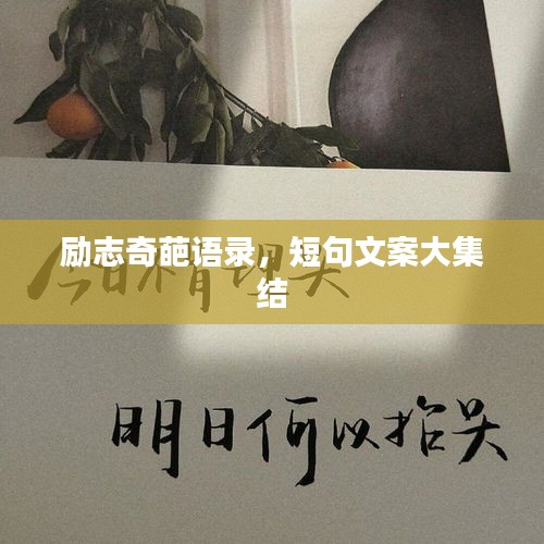 励志奇葩语录，短句文案大集结