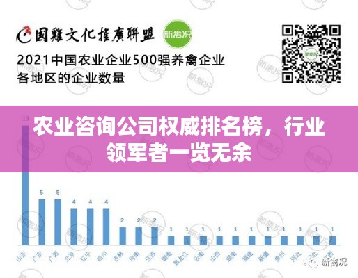 农业咨询公司权威排名榜，行业领军者一览无余