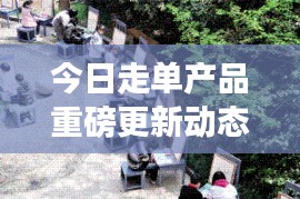 今日走单产品重磅更新动态