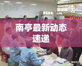 南亭最新动态速递