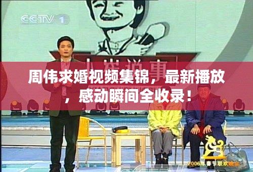 周伟求婚视频集锦，最新播放，感动瞬间全收录！