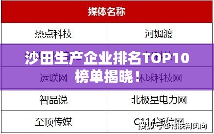 沙田生产企业排名TOP10榜单揭晓！