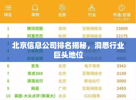 北京信息公司排名揭秘，洞悉行业巨头地位