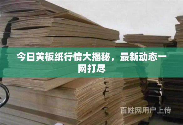 今日黄板纸行情大揭秘，最新动态一网打尽