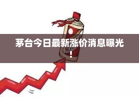茅台今日最新涨价消息曝光！