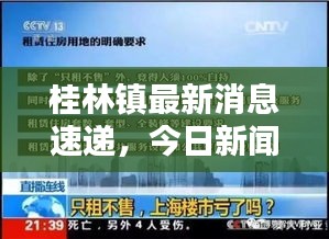 桂林镇最新消息速递，今日新闻一览