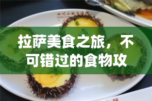 拉萨美食之旅，不可错过的食物攻略