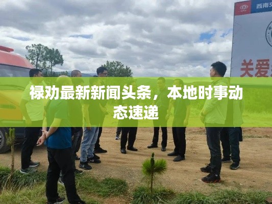 禄劝最新新闻头条，本地时事动态速递