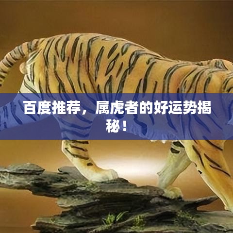 百度推荐，属虎者的好运势揭秘！