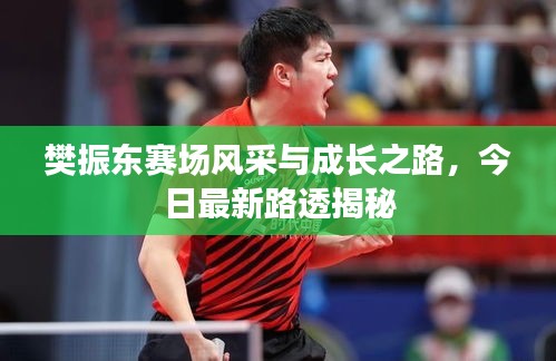 樊振东赛场风采与成长之路，今日最新路透揭秘