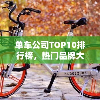 单车公司TOP10排行榜，热门品牌大比拼！