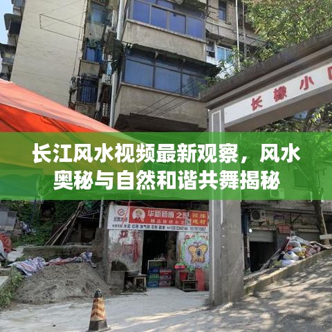 长江风水视频最新观察，风水奥秘与自然和谐共舞揭秘