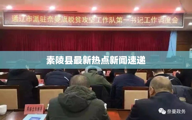 素陵县最新热点新闻速递