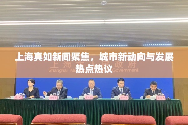 上海真如新闻聚焦，城市新动向与发展热点热议