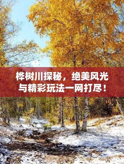 桦树川探秘，绝美风光与精彩玩法一网打尽！