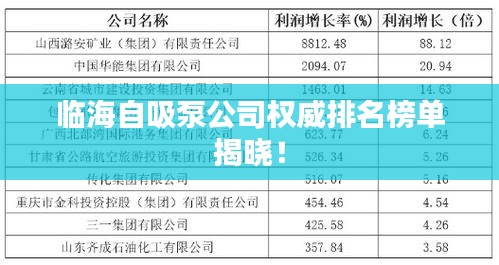 临海自吸泵公司权威排名榜单揭晓！