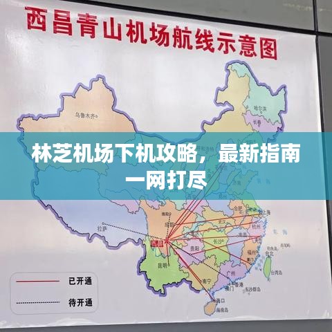 林芝机场下机攻略，最新指南一网打尽