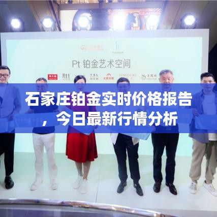 石家庄铂金实时价格报告，今日最新行情分析